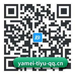 安卓掌上数据终端 二维码